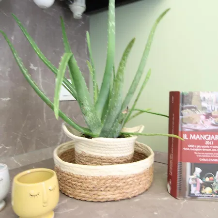 Molinourban * Villanova Di Castenaso