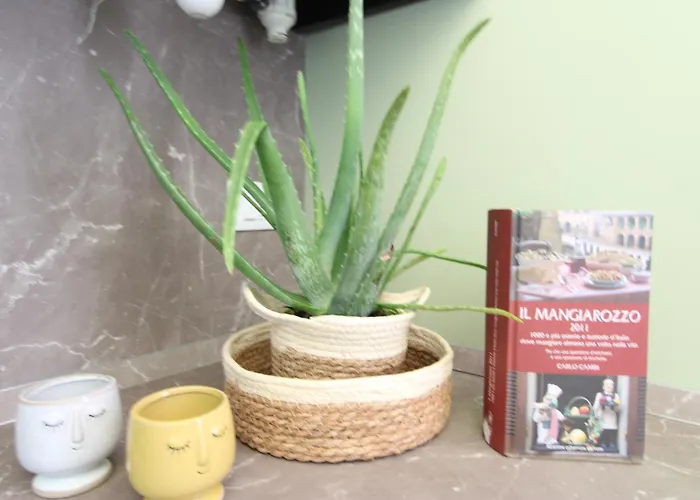 Molinourban * Villanova Di Castenaso